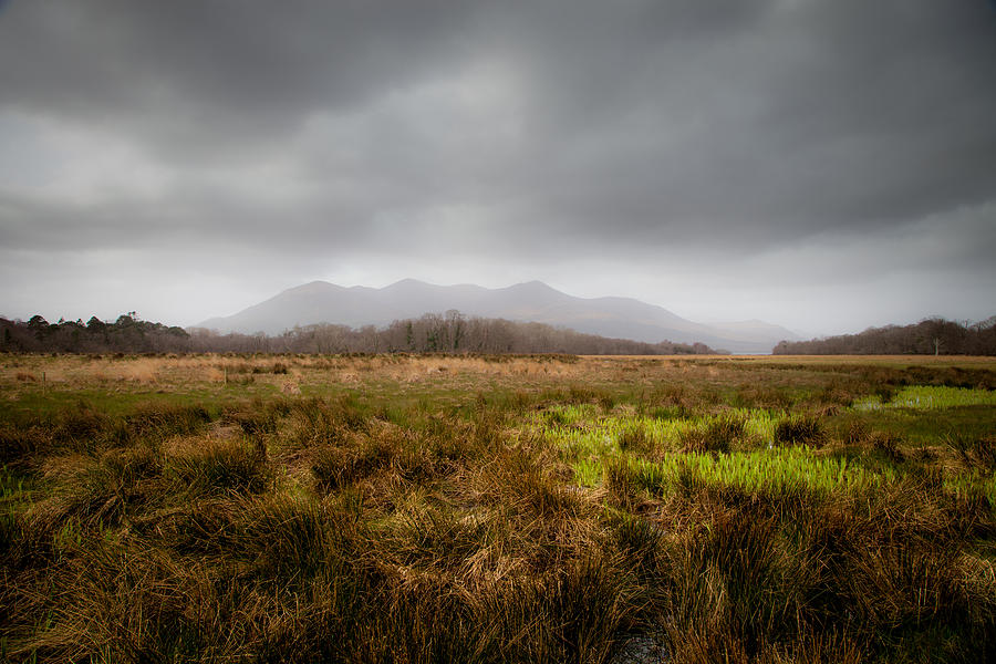 Along a path in Killarney National Park Photograph by W Chris Fooshee