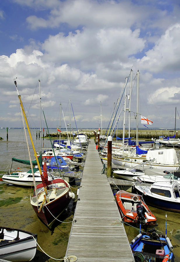 Along C Pontoon in Ryde Harbour Photograph by Rod Johnson