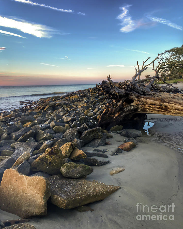 Along Driftwood Beach Photograph by Kerri Farley