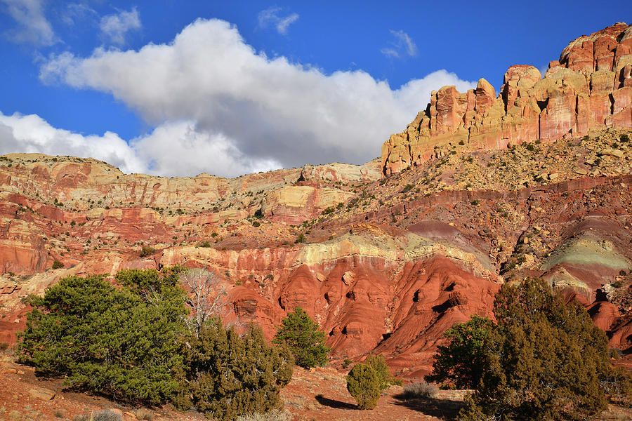 Along Scenic Drive in Capitol Reef NP Photograph by Ray Mathis