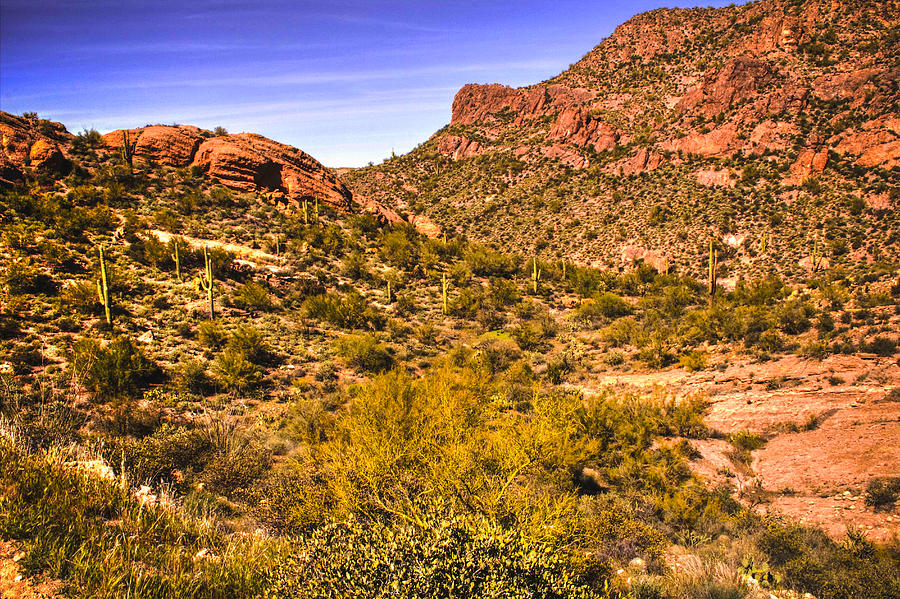 Along Second Water Trail Superstition Wilderness Photograph by Roger Passman