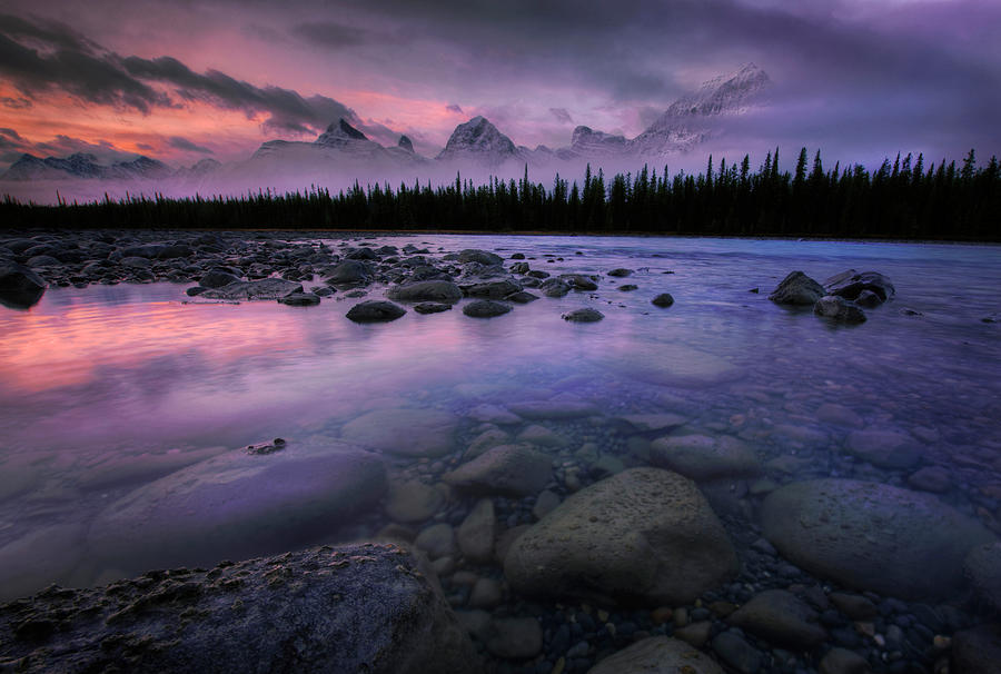 Along The Athabasca Photograph by Dan Jurak
