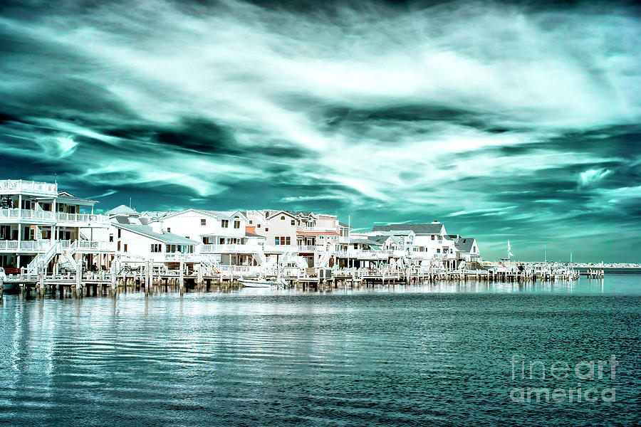Bay Photograph - Along The Bay At Long Beach Island Infrared by John Rizzuto Bay Photograph - Along The Bay At Long Beach Island Infrared by John Rizzuto