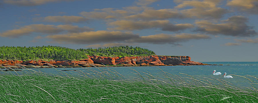 Along the Bay of Fundy Photograph by Phil Jensen