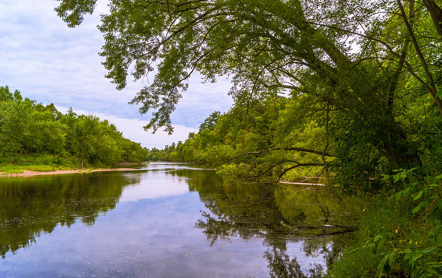 Tree Photograph - Along the Black River by Casey Stanford