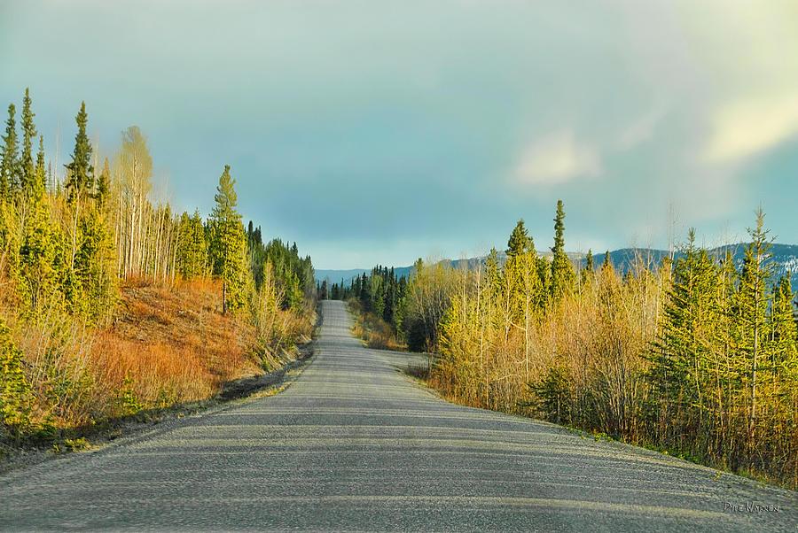 Along the Cassiar Hwy - British Columbia Photograph by Dyle   Warren