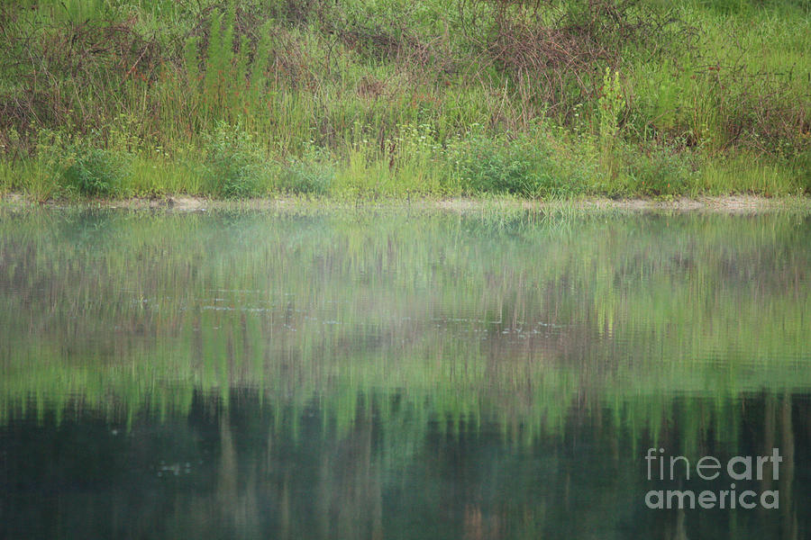 Impressionism Photograph - Along the Edge of the Pond by Carol Groenen