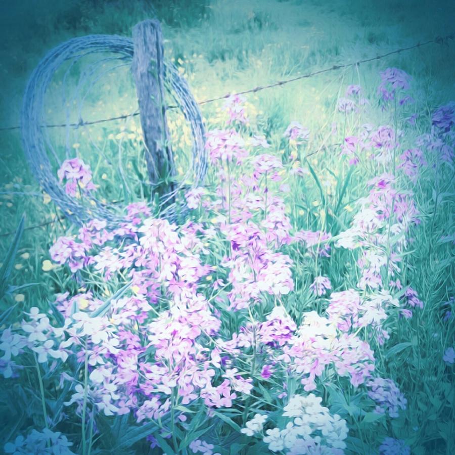 Flower Digital Art - Along the Fence by Jenn Teel