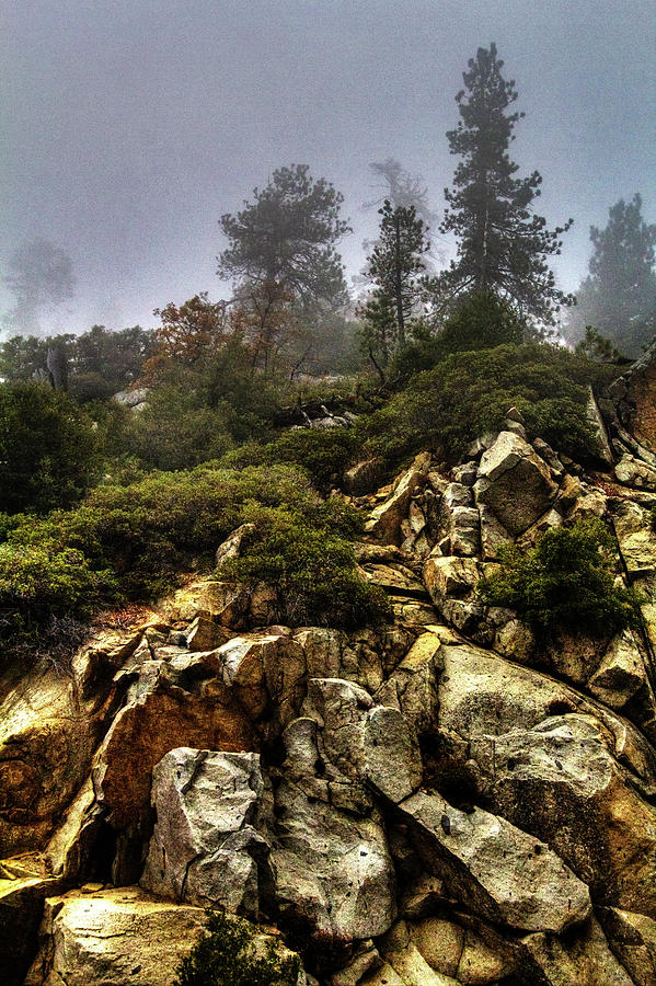 Sequoia National Park Photograph - Along the Generals Highway Sequoia National Park by Roger Passman