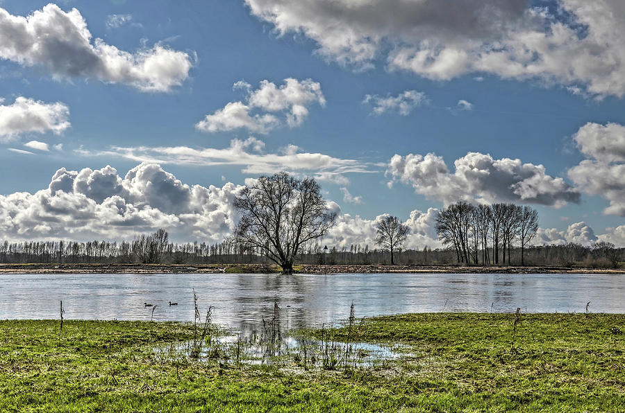 Along the IJssel river near Deventer Photograph by Frans Blok