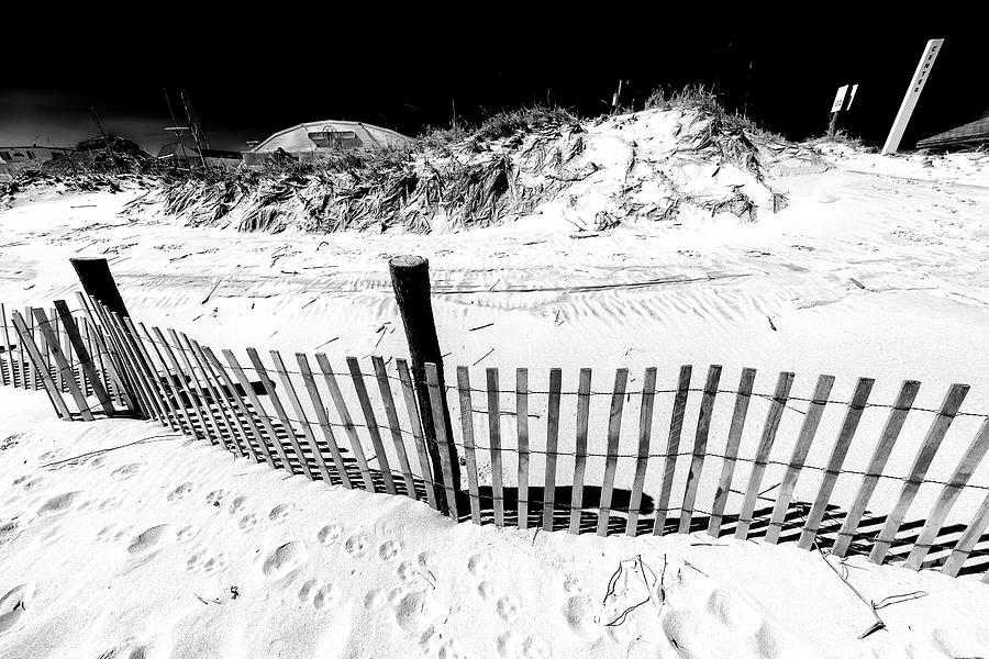 Along the Long Beach Island Dune Fence Photograph by John Rizzuto
