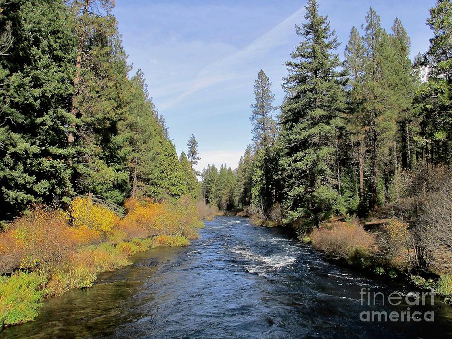 Nature Photograph - Along the Metolius by Rosemary Steven