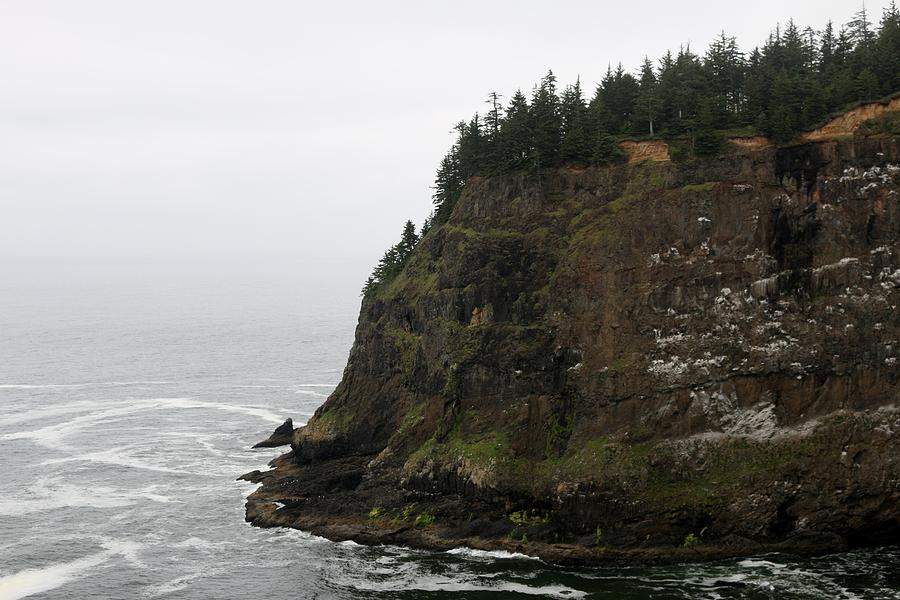 Along the Oregon Coast - 6 Photograph by Christy Pooschke
