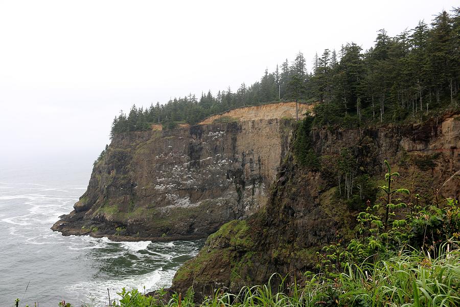 Along the Oregon Coast - 8 Photograph by Christy Pooschke