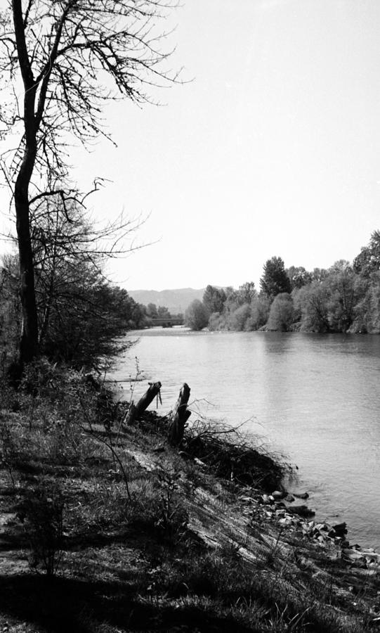 Along the river bank Photograph by Teri Schuster