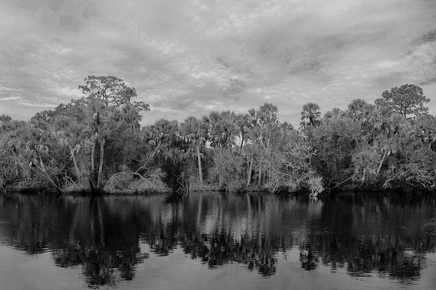 Along the River Photograph by Robert Wilder Jr