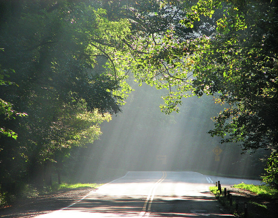 Along the Road of Life Photograph by Ted Keller