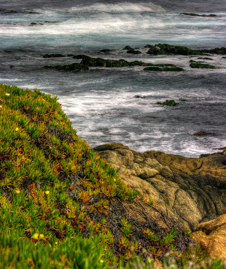 Along the Shoreline of the Monterey Peninsula - Central California Coast Photograph by Michael Mazaika