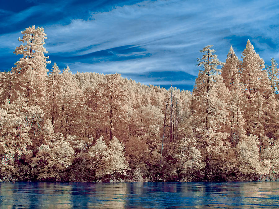 Along the Smith River in Infrared Photograph by Greg Nyquist