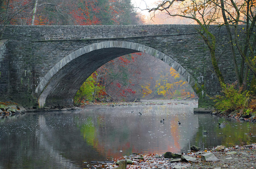 Along the Wissahickon in Autumn Photograph by Bill Cannon