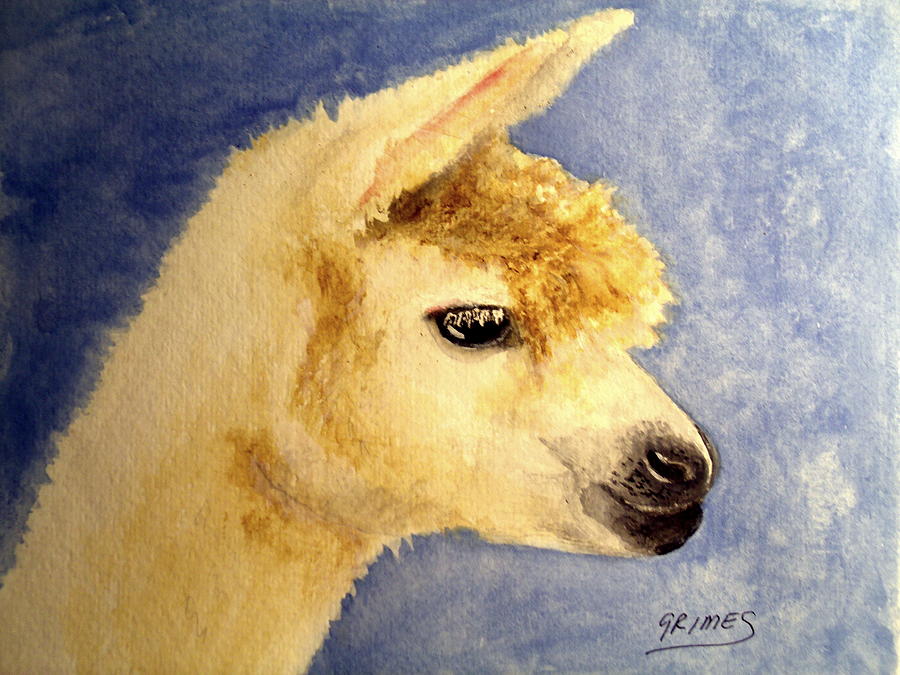 Alpaca Baby Painting by Carol Grimes