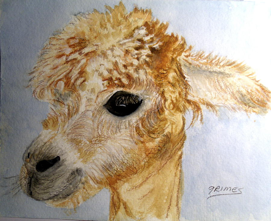 Farm Animals Painting - Alpaca Cutie by Carol Grimes