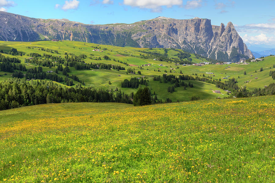 Alpe di Siusi - Dolomiti Photograph by Joana Kruse