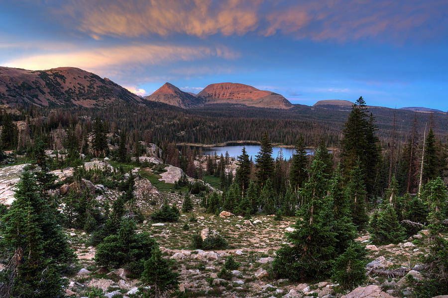 Alpenglow Sunset Reids Peak Bald Mountain and Wall Lake Photograph by Brett Pelletier
