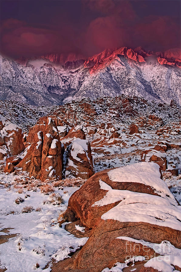 Alpenglow Winter Morning Alabama Hills Eastern Sierras California Photograph by Dave Welling