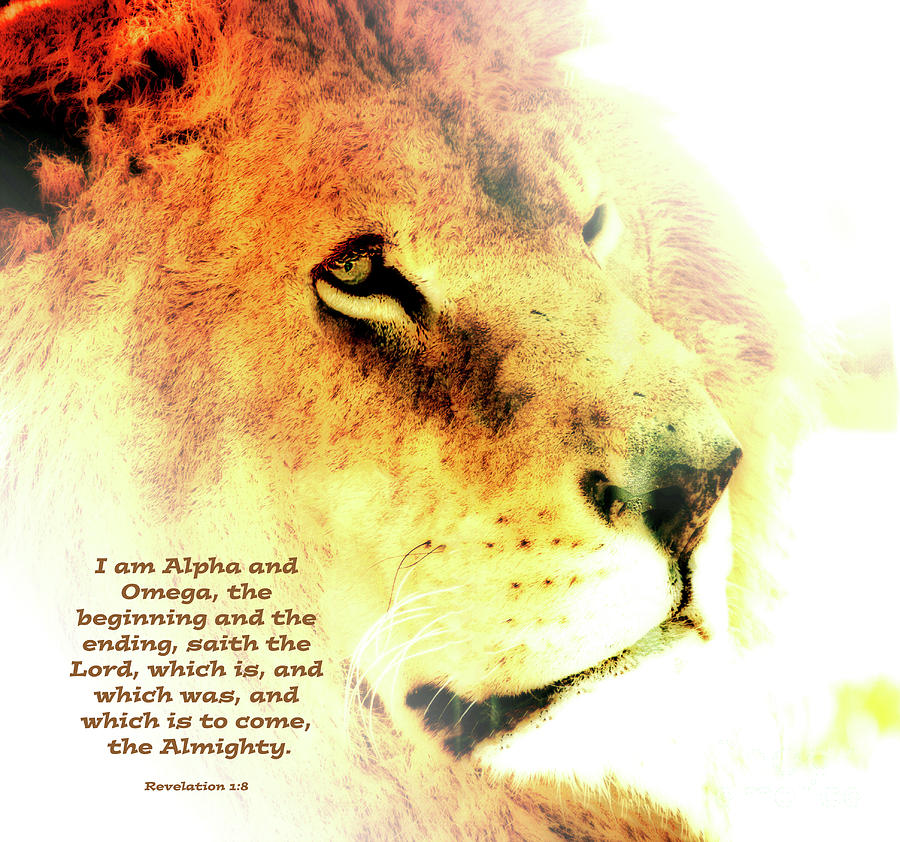 Alpha and Omega by Debbie Nobile