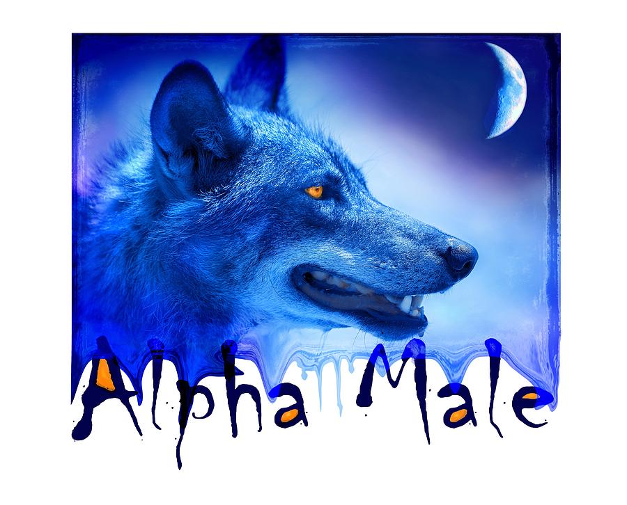 Alpha Male Photograph by Mal Bray