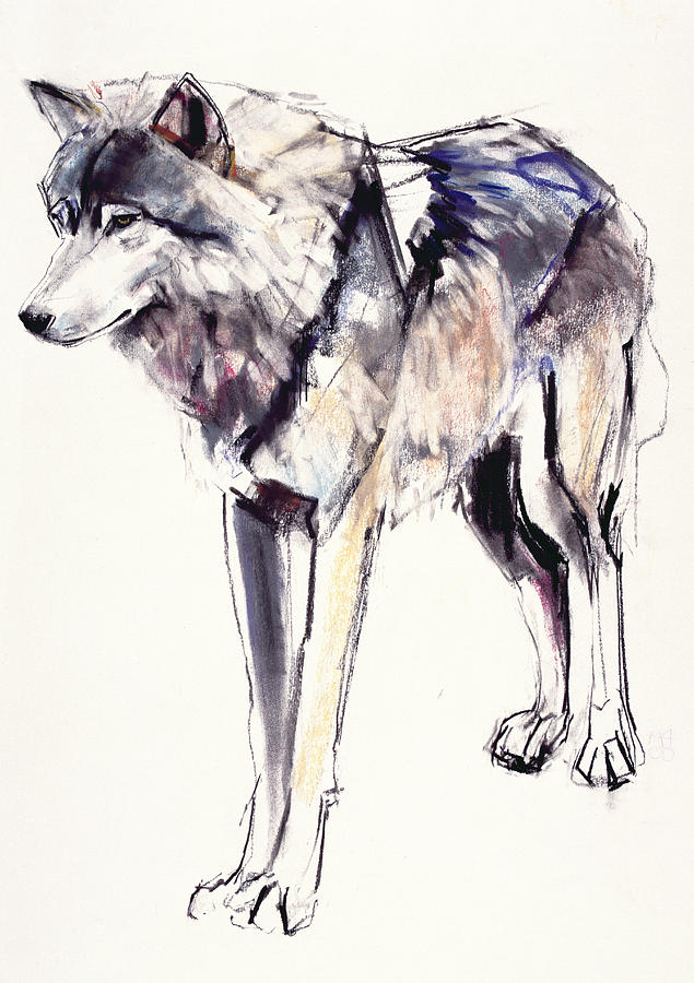Wolves Painting - Alpha by Mark Adlington