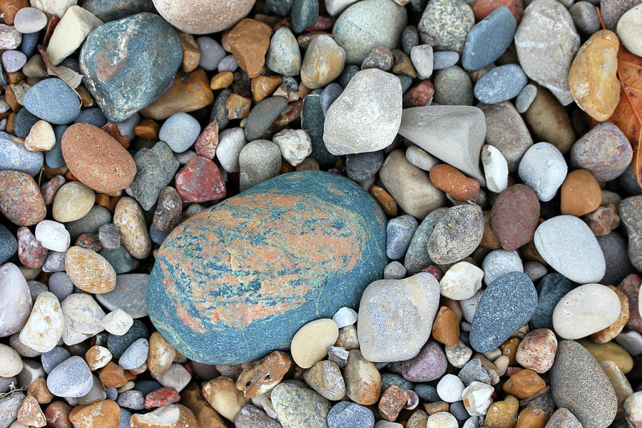 Alpha Rock on the Beach Photograph by Mary Bedy