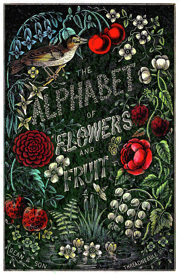 Flower Photograph - Alphabet of Flowers and Fruit by Tim Leimkuhler