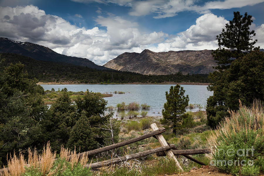 Alpine County 2018 3 Photograph by Webb Canepa - Fine Art America