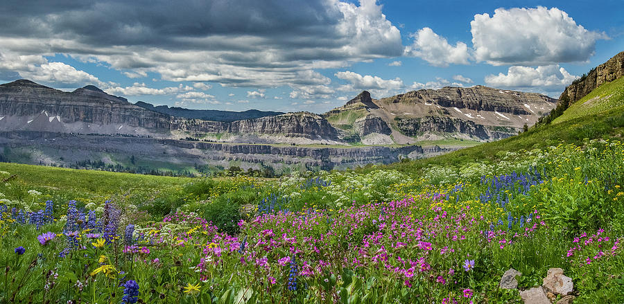 Alaska Basin Photograph - Alpine Kaleidoscope by Howie Garber Alaska Basin Photograph - Alpine Kaleidoscope by Howie Garber