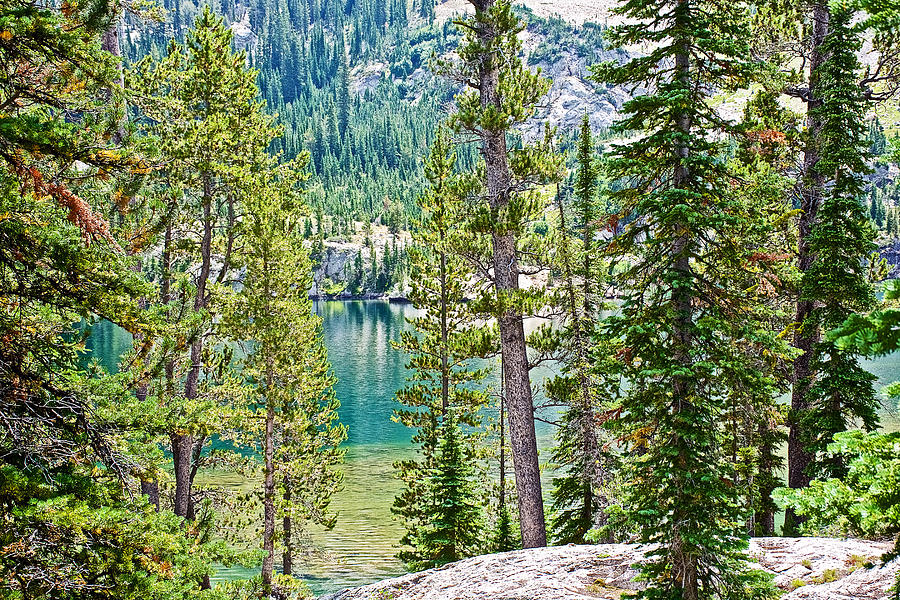 Alpine Lake through Trees in Sawtooth National Wilderness Area-Idaho ...