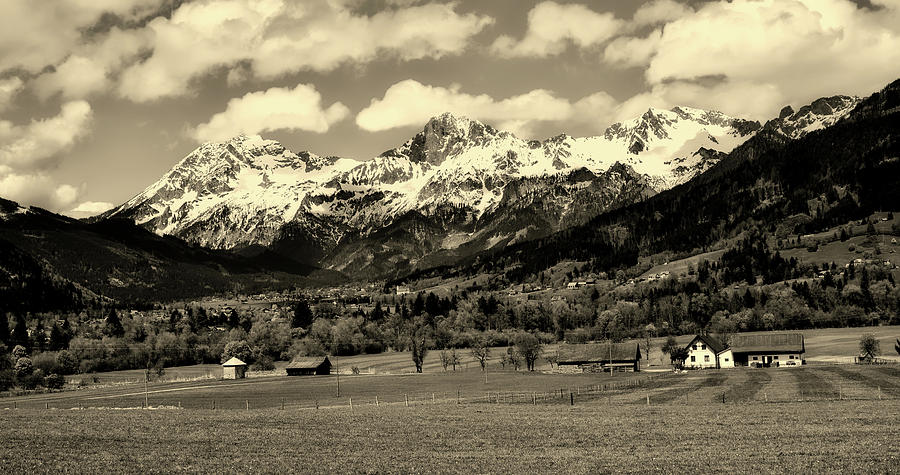 Alpine Meadow Photograph by Mountain Dreams