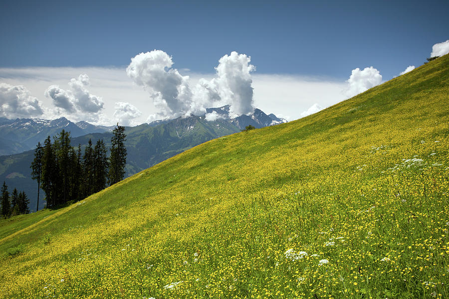 Alpine Meadows with Wildflowers and Clouds Photograph by Aivar Mikko