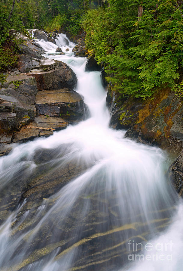 Waterfall Photograph - Alpine Rush by Michael Dawson