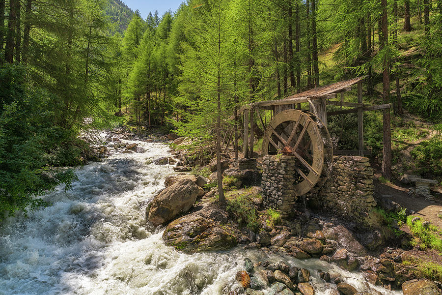 Alpine Waterwheel Photograph by James Billings