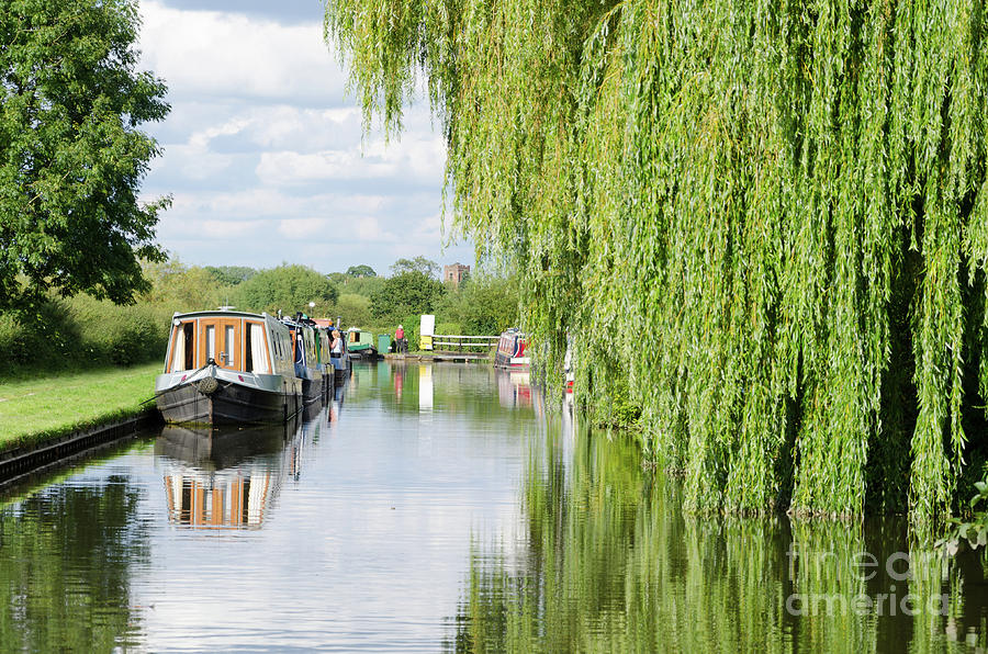 Alrewas canal scene Photograph by Steev Stamford