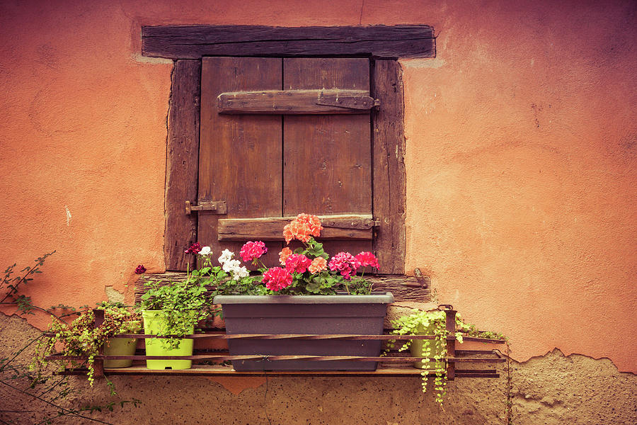 Alsace Window Photograph by Rebekah Zivicki