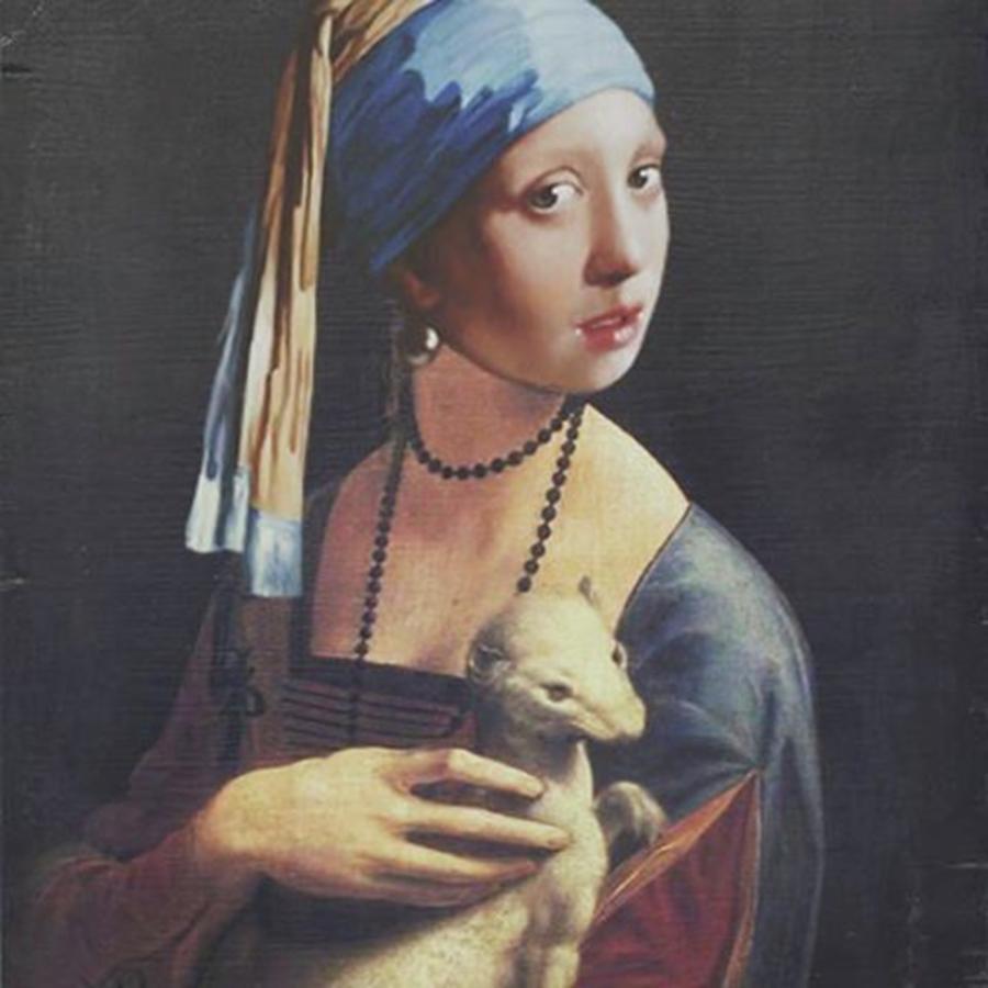 Insta Photograph - Also The Girl With A Pearl earring loves Ermine by Alessio Cicalini