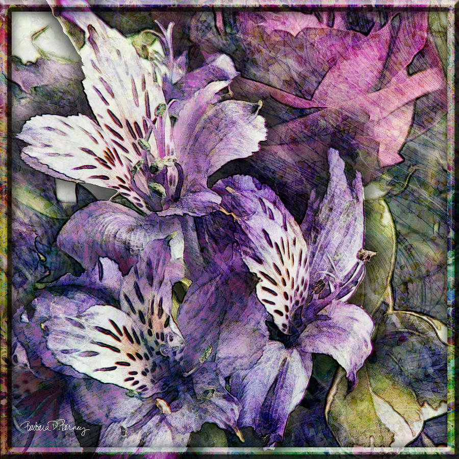 Flower Digital Art - Alstroemeria by Barbara Berney