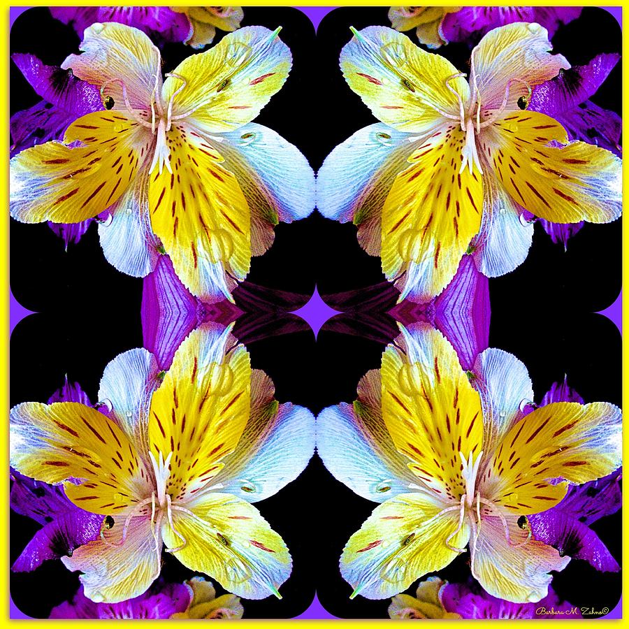 Flower Photograph - Alstroemeria Collage by Barbara Zahno
