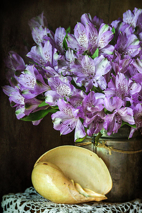 Alstroemeria with Seashell Photograph by Cindi Ressler
