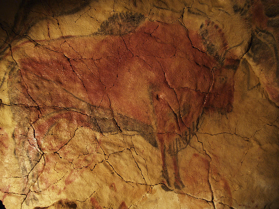 Altamira Cave Painting Of A Bison Photograph by Javier Truebamsf