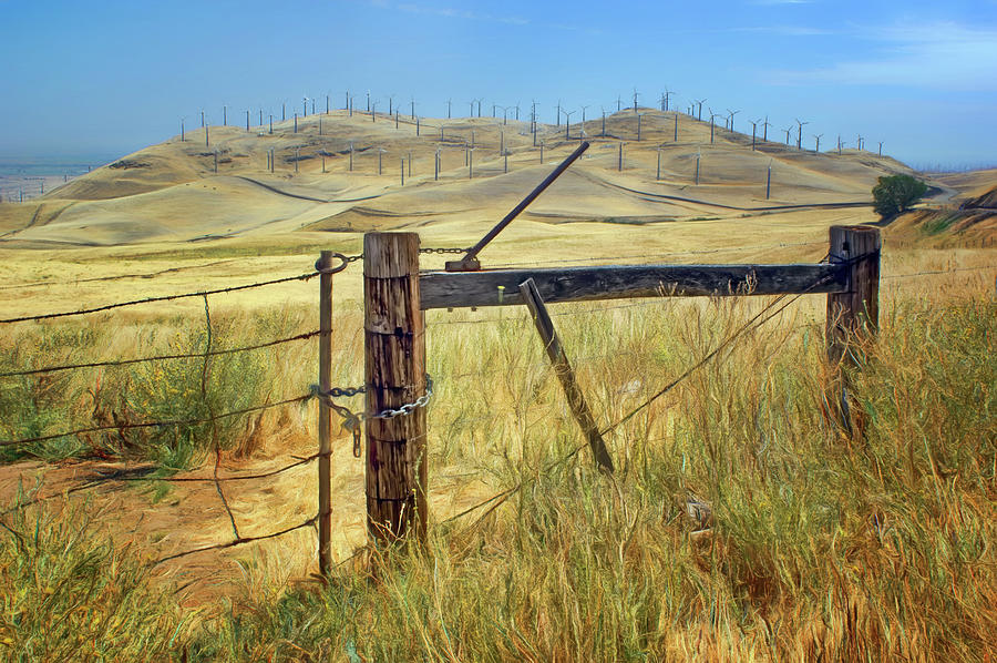 Nature Photograph - Altamont Pass - Locked In by Nikolyn McDonald