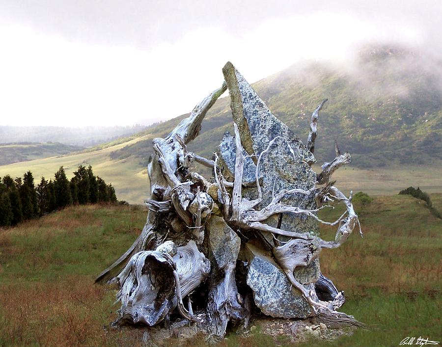 Altar Of Nature Digital Art by Bill Stephens